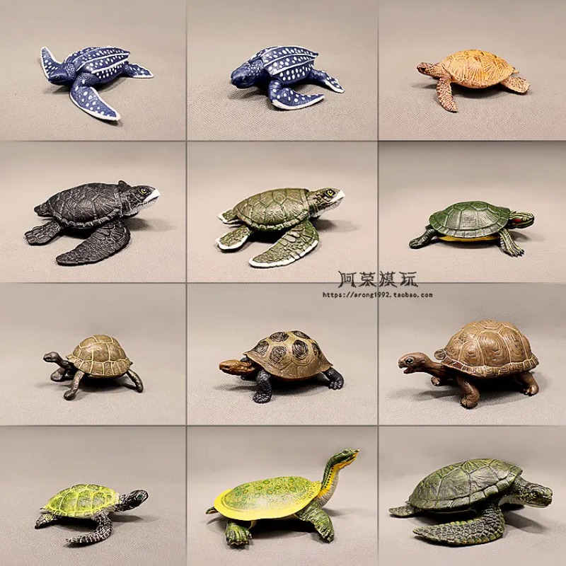 Lederback Rotohrschildkröte La – Aquarium Decor Bewertung und Preis