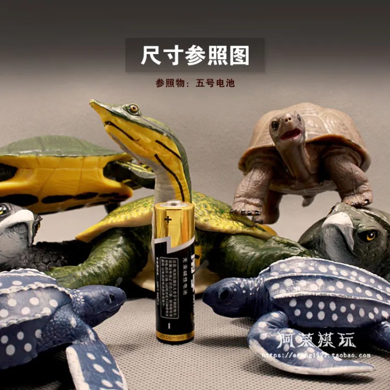 Lederback Rotohrschildkröte La – Aquarium Decor Bewertung und Preis