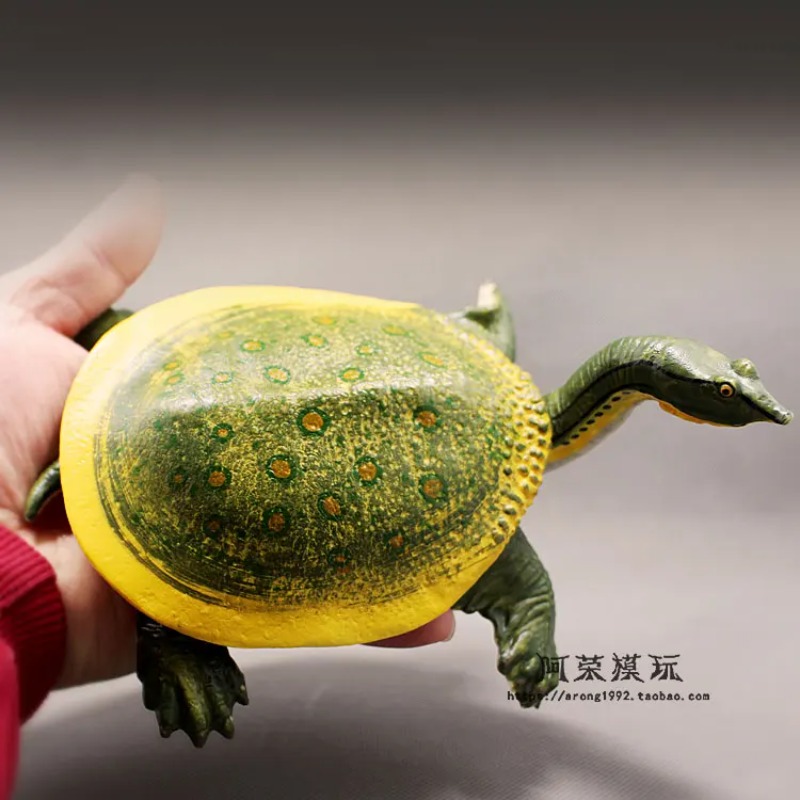 Lederback Rotohrschildkröte La – Aquarium Decor Bewertung und Preis