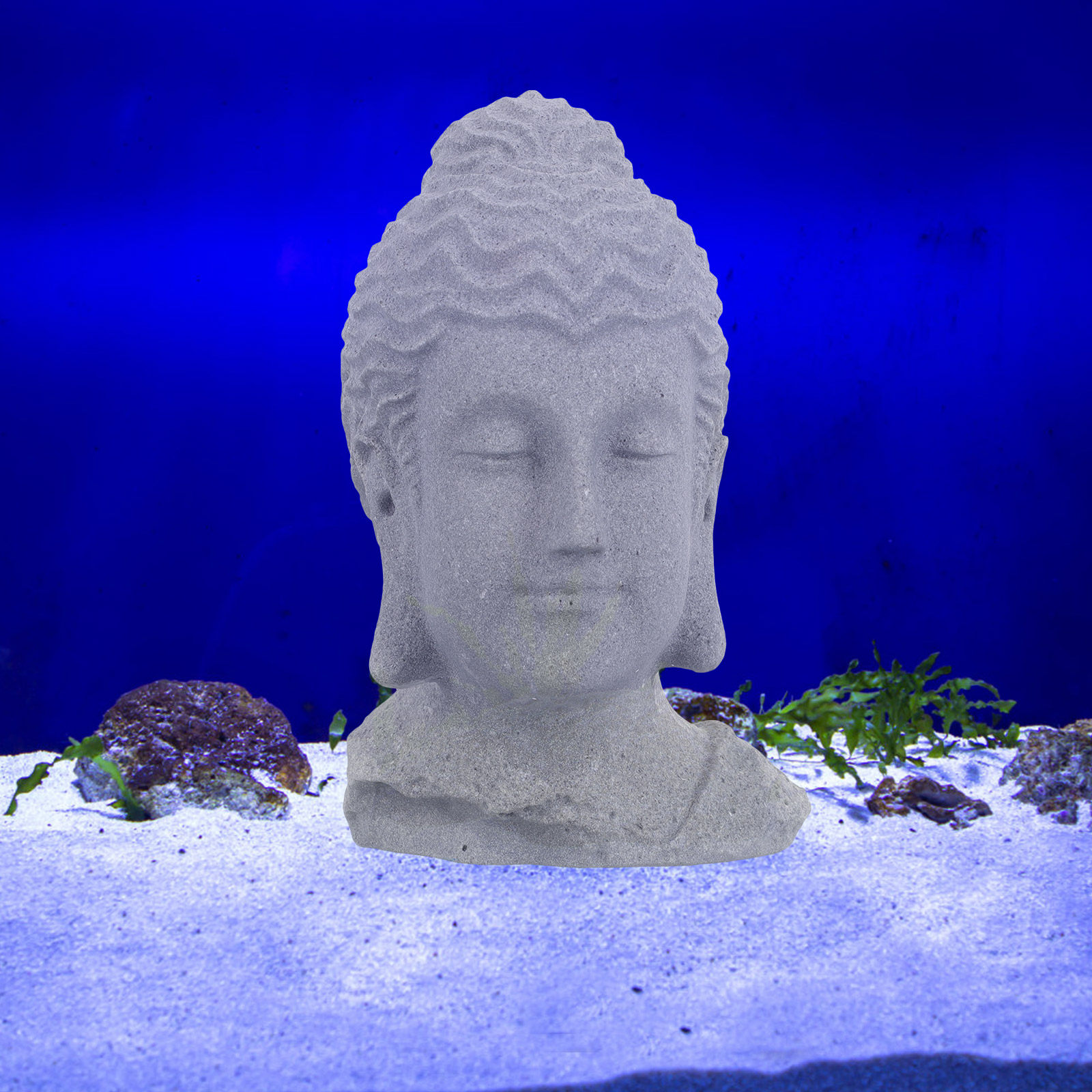 Meditierender Buddha-Kopf, Sta – Aquarium Decor Bewertung und Preis
