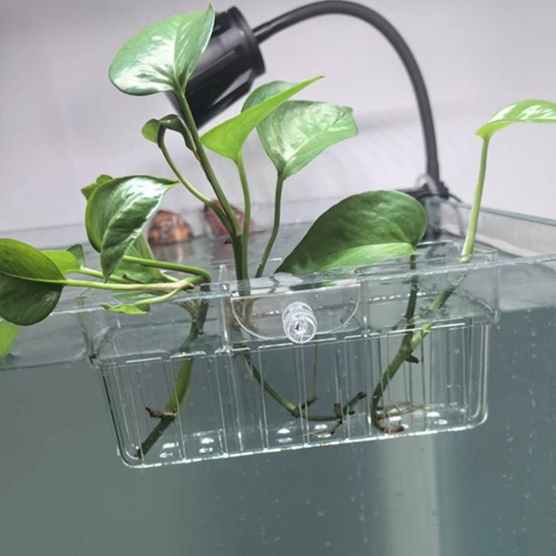 Hydroponischer Pflanzenkorb au – Aquarium Decor Bewertung und Preis
