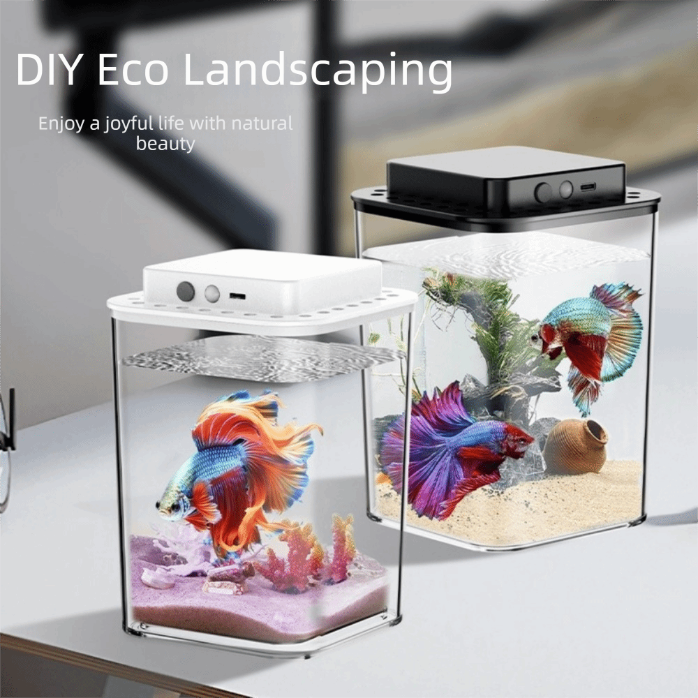 Transparentes Betta-Fischbecke – Betta Fish Tank Bewertung und Preis