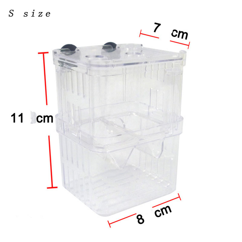 Pfau Fisch Zucht Isolation Box – Aquarium Fish Betta Bewertung und Preis