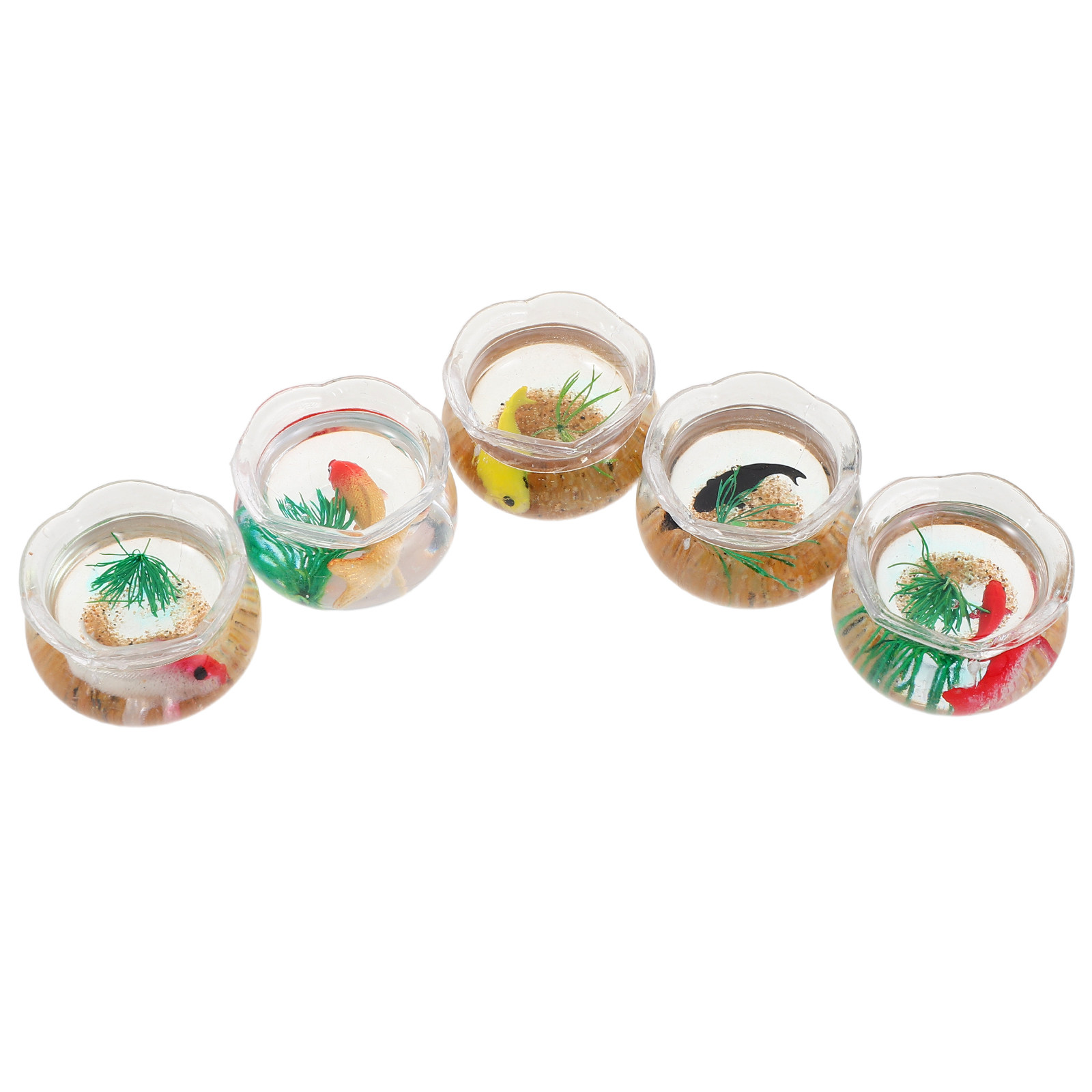 5 Stück Miniatur-Koi-Aquarium: – Aquarium Plants Bewertung und Preis